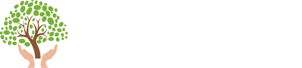 Fuente de Luz