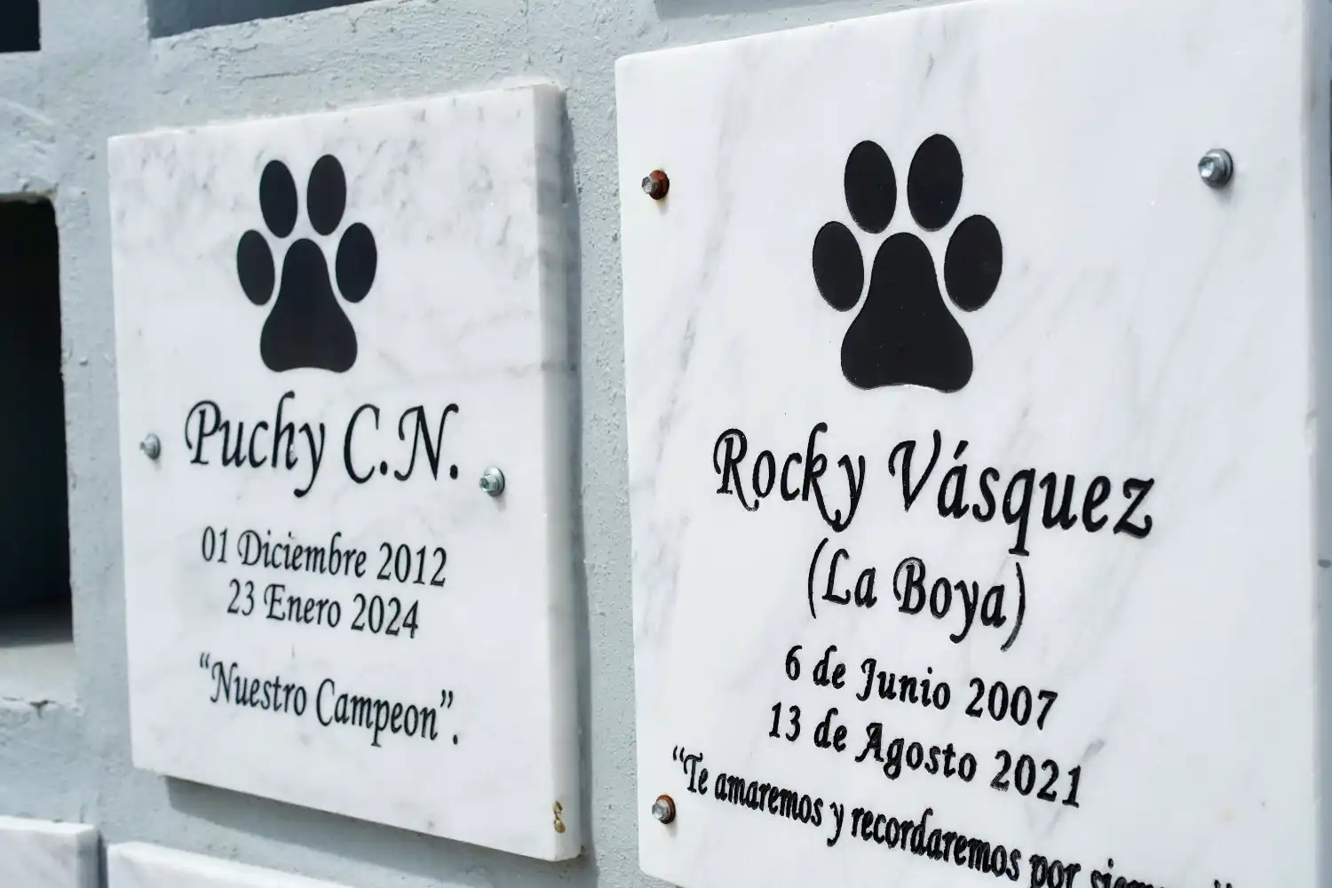 fdl cementerio de mascotas 01 - Copy